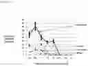 Fig. 05 - METHOD FOR OBTAINING IMMUNO-STIMULATORY DENDRITIC CELLS