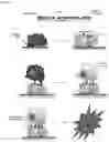 Fig. 10 - METHOD FOR OBTAINING IMMUNO-STIMULATORY DENDRITIC CELLS