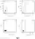 Fig. 03 - METHOD FOR PREPARING MATURE RED BLOOD CELLS IN VITRO USING PERIPHERAL BLOOD