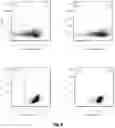 Fig. 05 - METHOD FOR PREPARING MATURE RED BLOOD CELLS IN VITRO USING PERIPHERAL BLOOD