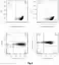 Fig. 06 - METHOD FOR PREPARING MATURE RED BLOOD CELLS IN VITRO USING PERIPHERAL BLOOD