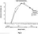 Fig. 10 - METHOD FOR PREPARING MATURE RED BLOOD CELLS IN VITRO USING PERIPHERAL BLOOD