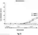 Fig. 12 - METHOD FOR PREPARING MATURE RED BLOOD CELLS IN VITRO USING PERIPHERAL BLOOD