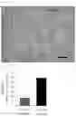 Fig. 06 - MESENCHYMAL STEM CELLS DERIVED FROM SYNOVIUM AND USES THEREOF