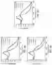Fig. 10 - Targeted Phage for Bacterial Detection and Destruction