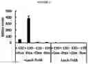Fig. 06 - SYSTEMS AND METHODS FOR METABOLIC ENGINEERING