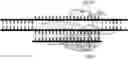 Fig. 01 - ENGINEERED PROTEINS AND METHODS OF USE THEREOF