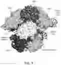 Fig. 03 - ENGINEERED PROTEINS AND METHODS OF USE THEREOF