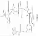 Fig. 06 - BIOSYNTHESIS OF PRODUCTS FROM 1-CARBON COMPOUNDS