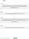 Fig. 04 - Plant tissue collection, RNA extraction and genetic analysis
