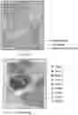Fig. 27 - RESOLVING SPATIAL ARRAYS BY PROXIMITY-BASED DECONVOLUTION