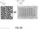Fig. 45 - RESOLVING SPATIAL ARRAYS BY PROXIMITY-BASED DECONVOLUTION