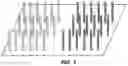 Fig. 03 - Methods for labeling DNA fragments to reconstruct physical linkage and phase