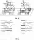 Fig. 04 - Methods for labeling DNA fragments to reconstruct physical linkage and phase
