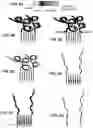 Fig. 06 - Methods for labeling DNA fragments to reconstruct physical linkage and phase
