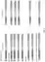Fig. 03 - Molecular barcoding