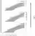 Fig. 04 - Molecular barcoding