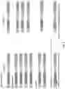Fig. 06 - Molecular barcoding