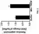 Fig. 03 - TREM COMPOSITIONS AND USES THEREOF