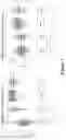 Fig. 08 - CANCER-SPECIFIC MOLECULES AND METHODS OF USE THEREOF
