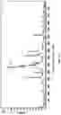 Fig. 04 - Modifications of mammalian cells using artificial micro-RNA to alter their properties and the compositions of their products