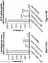 Fig. 16 - Engineered immunostimulatory bacterial strains and uses thereof