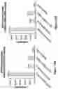 Fig. 17 - Engineered immunostimulatory bacterial strains and uses thereof