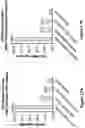 Fig. 18 - Engineered immunostimulatory bacterial strains and uses thereof