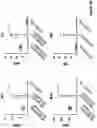 Fig. 29 - Engineered immunostimulatory bacterial strains and uses thereof