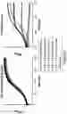 Fig. 42 - Engineered immunostimulatory bacterial strains and uses thereof