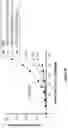 Fig. 47 - Engineered immunostimulatory bacterial strains and uses thereof