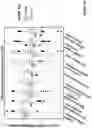 Fig. 53 - Engineered immunostimulatory bacterial strains and uses thereof