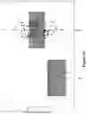 Fig. 56 - Engineered immunostimulatory bacterial strains and uses thereof