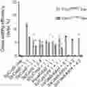 Fig. 01 - METHODS AND COMPOSITIONS FOR ALLELE SPECIFIC GENE EDITING