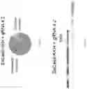 Fig. 07 - METHODS AND COMPOSITIONS FOR ALLELE SPECIFIC GENE EDITING