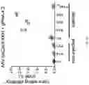 Fig. 09 - METHODS AND COMPOSITIONS FOR ALLELE SPECIFIC GENE EDITING