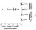 Fig. 12 - METHODS AND COMPOSITIONS FOR ALLELE SPECIFIC GENE EDITING