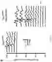 Fig. 17 - METHODS AND COMPOSITIONS FOR ALLELE SPECIFIC GENE EDITING