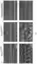 Fig. 22 - METHODS AND COMPOSITIONS FOR ALLELE SPECIFIC GENE EDITING