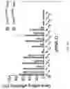 Fig. 30 - METHODS AND COMPOSITIONS FOR ALLELE SPECIFIC GENE EDITING