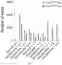 Fig. 35 - METHODS AND COMPOSITIONS FOR ALLELE SPECIFIC GENE EDITING