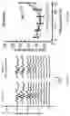Fig. 42 - METHODS AND COMPOSITIONS FOR ALLELE SPECIFIC GENE EDITING