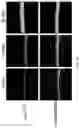 Fig. 44 - METHODS AND COMPOSITIONS FOR ALLELE SPECIFIC GENE EDITING