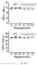 Fig. 45 - METHODS AND COMPOSITIONS FOR ALLELE SPECIFIC GENE EDITING