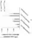 Fig. 47 - METHODS AND COMPOSITIONS FOR ALLELE SPECIFIC GENE EDITING