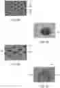 Fig. 14 - INSTRUMENTS, MODULES, AND METHODS FOR IMPROVED DETECTION OF EDITED SEQUENCES IN LIVE CELLS