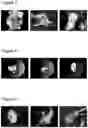 Fig. 04 - METHODS FOR ENHANCING GENOME ENGINEERING EFFICIENCY