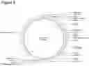 Fig. 07 - METHODS FOR ENHANCING GENOME ENGINEERING EFFICIENCY