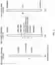 Fig. 04 - WHEAT STEM RUST RESISTANCE GENES AND METHODS OF USE