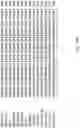 Fig. 26 - WHEAT STEM RUST RESISTANCE GENES AND METHODS OF USE